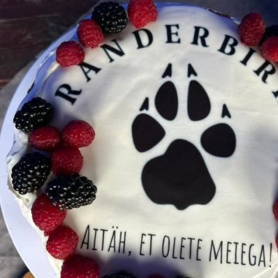 Kliendi tagasiside pilt