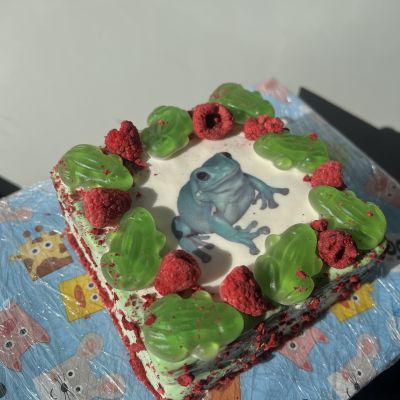 Kliendi tagasiside pilt