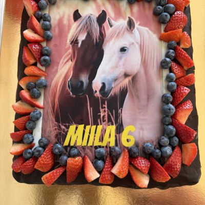 Kliendi tagasiside pilt