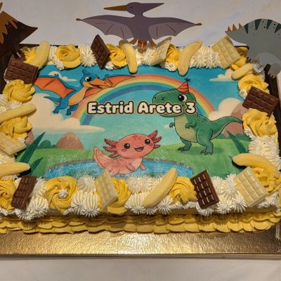 Kliendi tagasiside pilt