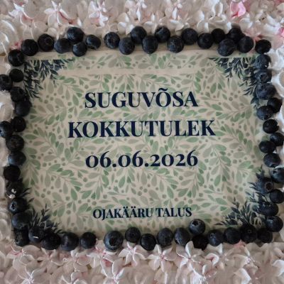 Kliendi tagasiside pilt